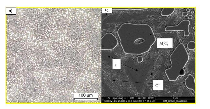 Microscopia FF17